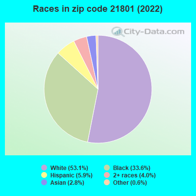 Races in zip code 21801 (2022)