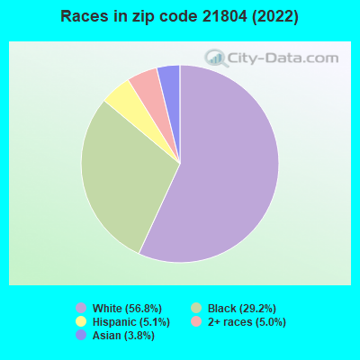 Races in zip code 21804 (2022)