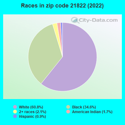 Races in zip code 21822 (2022)