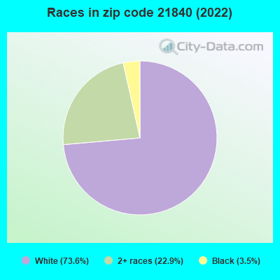 Races in zip code 21840 (2022)