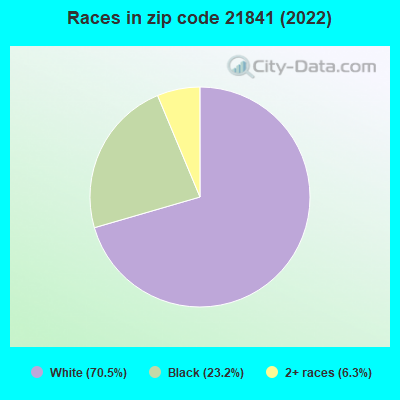 Races in zip code 21841 (2022)