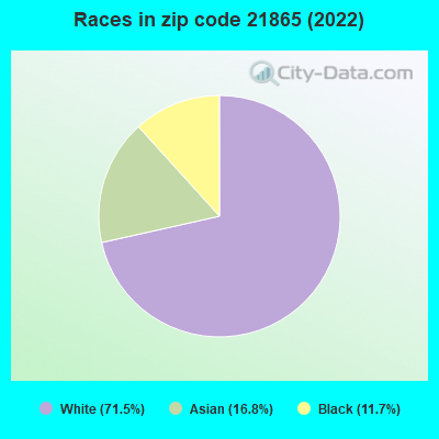Races in zip code 21865 (2022)