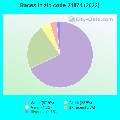 Races in zip code 21871 (2022)