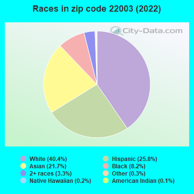 Races in zip code 22003 (2022)