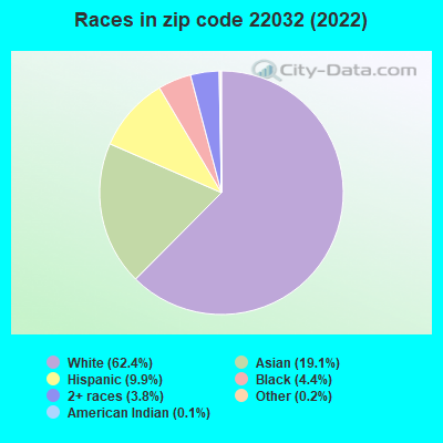 Races in zip code 22032 (2022)