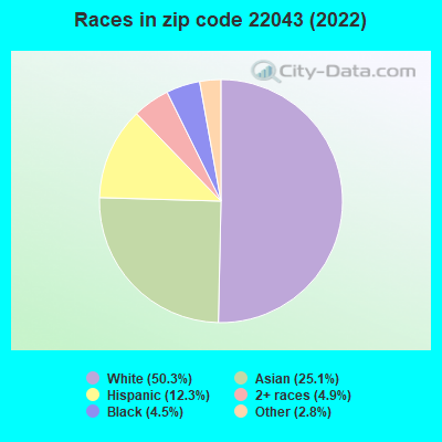 Races in zip code 22043 (2022)