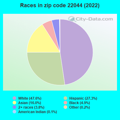 Races in zip code 22044 (2022)