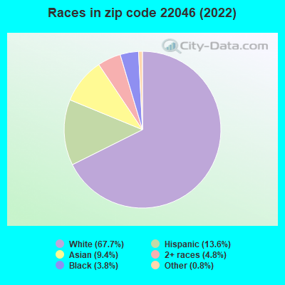 Races in zip code 22046 (2022)