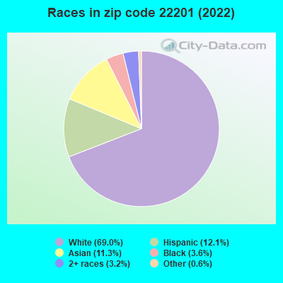 Races in zip code 22201 (2022)