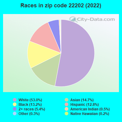 Races in zip code 22202 (2022)