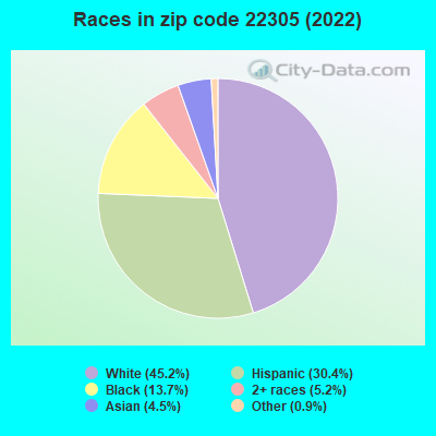 Races in zip code 22305 (2022)