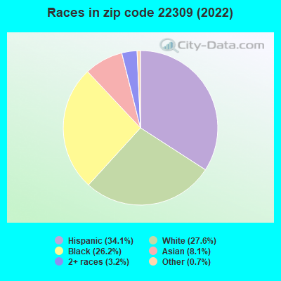 Races in zip code 22309 (2022)