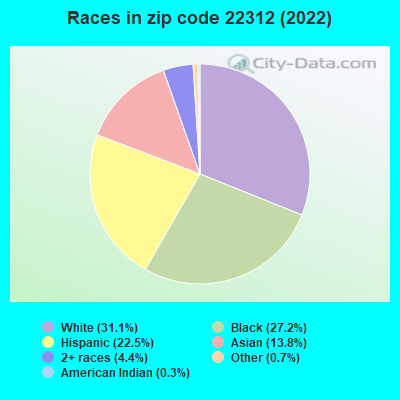 Races in zip code 22312 (2022)