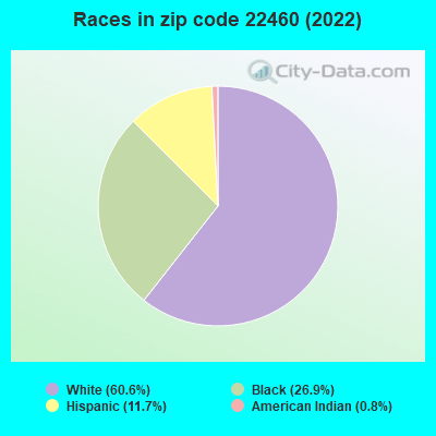 Races in zip code 22460 (2022)