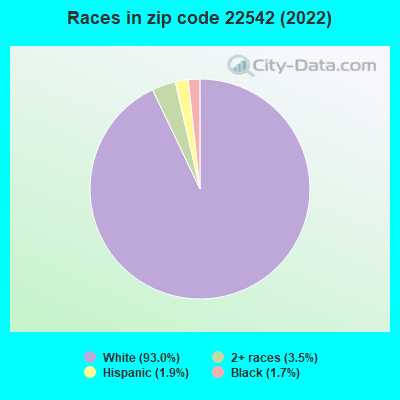 Races in zip code 22542 (2022)