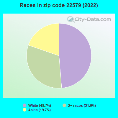 Races in zip code 22579 (2022)