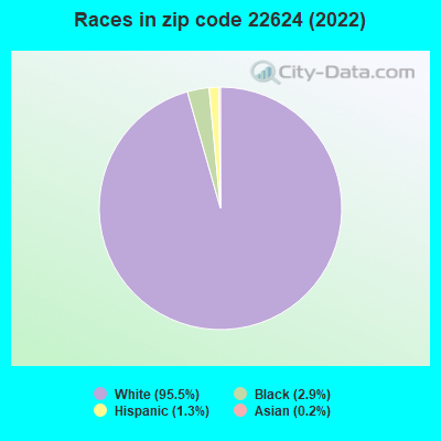 Races in zip code 22624 (2022)