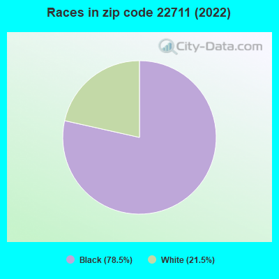 Races in zip code 22711 (2022)
