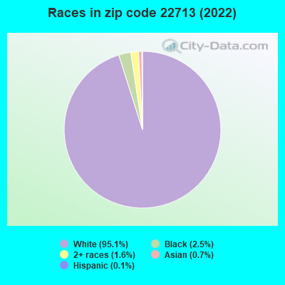 Races in zip code 22713 (2022)