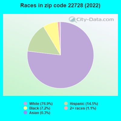 Races in zip code 22728 (2022)