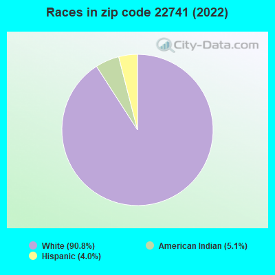 Races in zip code 22741 (2022)