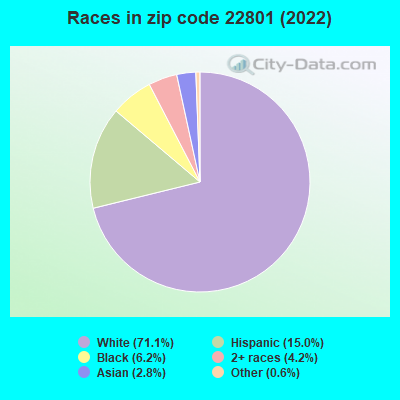 Races in zip code 22801 (2022)