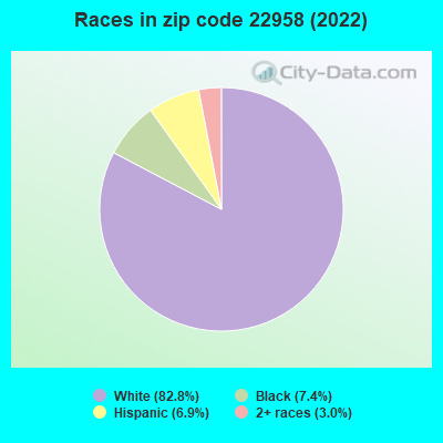 Races in zip code 22958 (2022)