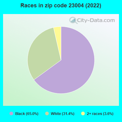 Races in zip code 23004 (2022)