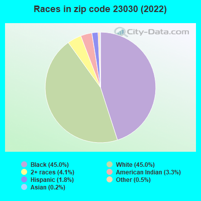 Races in zip code 23030 (2022)