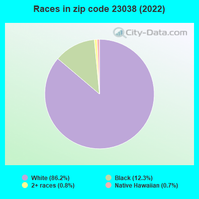 Races in zip code 23038 (2022)