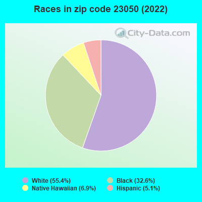 Races in zip code 23050 (2022)