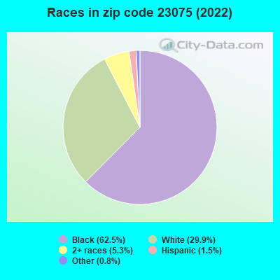 Races in zip code 23075 (2022)