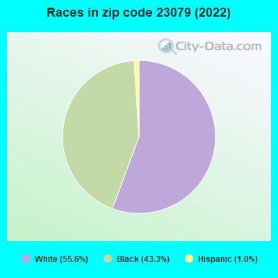 Races in zip code 23079 (2022)