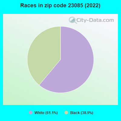 Races in zip code 23085 (2022)