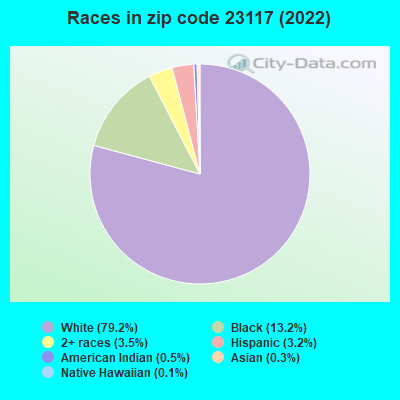 Races in zip code 23117 (2022)