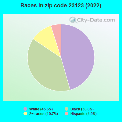 Races in zip code 23123 (2022)