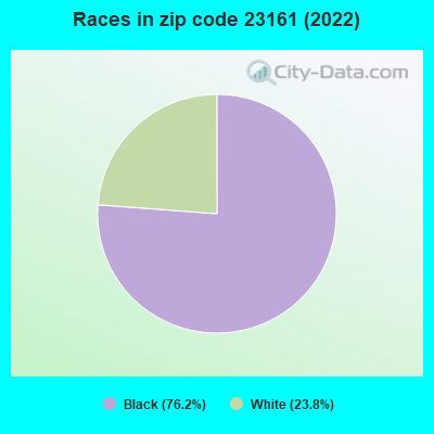 Races in zip code 23161 (2022)