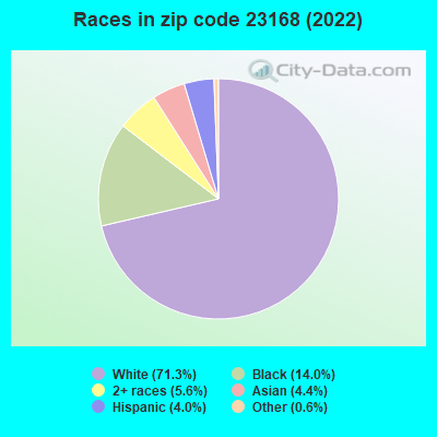 Races in zip code 23168 (2022)
