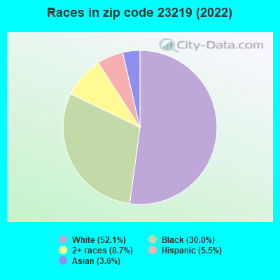 Races in zip code 23219 (2022)