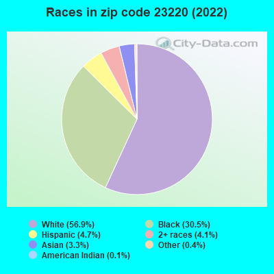 Races in zip code 23220 (2022)