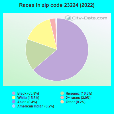 Races in zip code 23224 (2022)