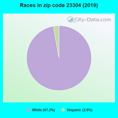 Races in zip code 23304 (2019)