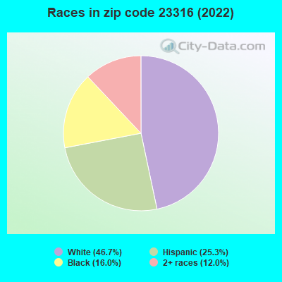 Races in zip code 23316 (2022)