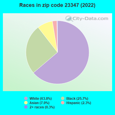 Races in zip code 23347 (2022)