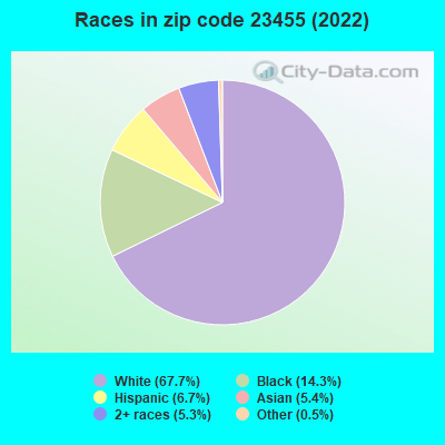 Races in zip code 23455 (2022)