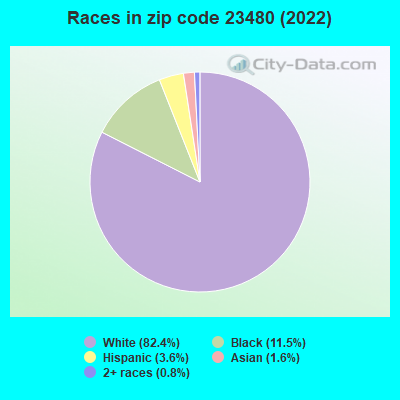 Races in zip code 23480 (2022)
