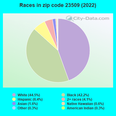 Races in zip code 23509 (2022)