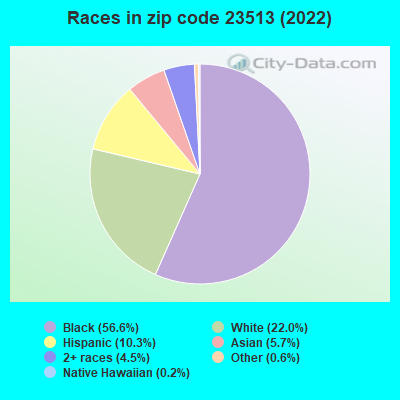 Races in zip code 23513 (2022)