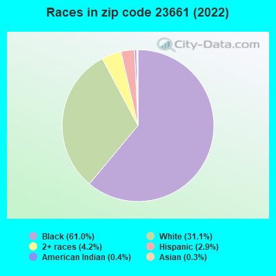 Races in zip code 23661 (2022)