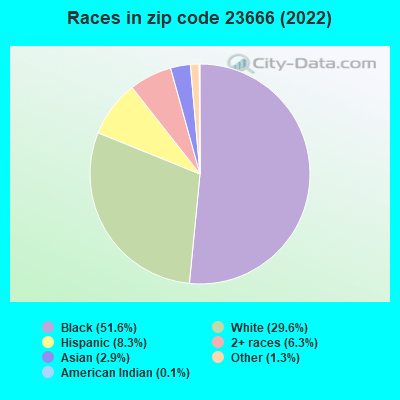 Races in zip code 23666 (2022)